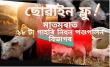Swine flu : ঢকুৱাখনাৰ মাতমৰা পঞ্চায়তত ছোৱাইন ফ্লুৰ ভয়াৱহ ৰূপ!