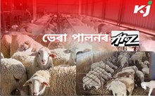 ভেৰা পালন নিবনুৱাসকলৰ জীৱিকাৰ এটা পথ হ'ব পাৰে! ভেৰা পালন নিবনুৱাসকলৰ জীৱিকাৰ এটা পথ হ'ব পাৰে!
