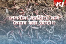 ভার্মিকম্পষ্টিং  আৰু বায়' ফার্টিলাইজাৰ উদ্যোগেৰে আপুনিও স্বাৱলম্বী হ'ব পাৰে