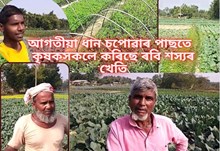 তামুলপুৰৰ  ডিমিলা নদীৰ পাৰত নাঙলৰ সিৰলুত কৃষকৰ সপোন