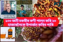 Silk farming- এৰী খোলা আৰু লেটা উৎপাদনৰ অৰ্থনৈতিক লাভালাভ