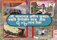 Bee Farming : মৌ পালনেৰে স্বাৱলম্বী টীয়কৰ এজন ব্যক্তিৰ মনৰ কথা