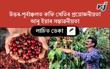 কাছাৰ জিলাত ১৮৫৩ চনতেই কৰা হৈছিল  কফি খেতি