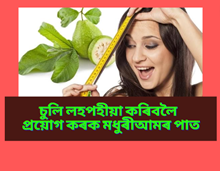 চুলি লহপহীয়া কৰিবলৈ এনেদৰে প্ৰয়োগ কৰক মধুৰীআমৰ পাত চুলি লহপহীয়া কৰিবলৈ এনেদৰে প্ৰয়োগ কৰক মধুৰীআমৰ পাত