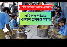 চলি আছিল মধ্যাহ্ন ভোজন, দাইলৰ পাত্ৰত ওলাল প্ৰকাণ্ড সাপ!