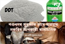 DDT-Melathione : নিষিদ্ধ হওক ডিডিটি-মেলাথিয়ন