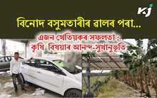  Banana farming : কল খেতিৰে গাড়ী কিনিলে তামুলপুৰৰ মিকাছ বসুমতাৰীয়ে