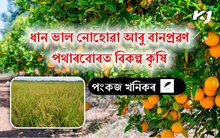 Paddy alternative  : ধানৰ সলনি অন্য শস্যৰ খেতি কৰক খৰাং পথাৰবোৰত