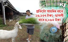 ৪ শতাংশ সুতত ৩ লাখ টকা ঋণ কৃষকলৈ। বেংকলৈ গৈ আবেদন কৰক...