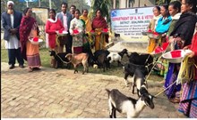 চেনীকুঠিত ৬ পৰা ২৩ ফেব্ৰুৱাৰীলৈ বিজ্ঞানসন্মত পশু পালন প্ৰশিক্ষণ কৰ্মশালা