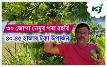 ঘৰৰ বাৰীতে কৰা নেমুৰে খেতিৰে উপাৰ্জন দিলোৱাৰ হুছেইন তাপাদাৰৰ