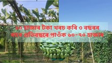 পটল পুলি পাবলৈ লেখাটোত থকা ফোন নাম্বাৰত যোগাযোগ কৰক 