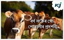 তামুলপুৰত বৰ্ণ সংকৰ গো-পোৱালীৰ প্ৰদৰ্শনী আৰু সজাগতা সভা তামুলপুৰত বৰ্ণ সংকৰ গো-পোৱালীৰ প্ৰদৰ্শনী আৰু সজাগতা সভা