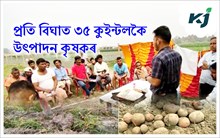 Lady rosetta : মৰিগাঁৱত এপাৰ্টৰ অধিনত উন্নত প্ৰজাতিৰ লেডী ৰজেটাৰ আলু খেতি 