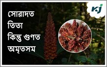 Alusho Bubar: বতৰৰ উপযোগী তিতা ফুল Alusho Bubar: বতৰৰ উপযোগী তিতা ফুল