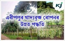 ERIE SILK : এৰীপলু পালনেও ঘৰতে লাখ টকা উপাৰ্জনৰ সুযোগ দিব 