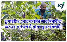 দক্ষিণৰ চুপাৰষ্টাৰ মোহনলালৰ শাক-পাচলিবাৰীতো আছে অসমৰ কণজলকীয়া আৰু কণ বিলাহী