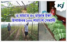 Snake been : ধান নোহোৱা এবিঘা বাম মাটিত ডাংবডিৰ খেতি কৰক