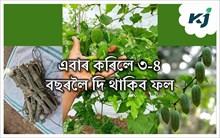 ভাতকেৰেলা আলু আৰু কুন্দুলিৰ লতাৰ বাবে উল্লেখিত নাম্বাৰত যোগাযোগ কৰক