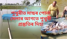 মাছৰ পোনা মেলা পূৰ্বে পুখুৰীৰ প্ৰস্তুতি সন্দৰ্ভত অসম গৌৰৱ দেৱজিত বৰ্মনৰ দিহা মাছৰ পোনা মেলা পূৰ্বে পুখুৰীৰ প্ৰস্তুতি সন্দৰ্ভত অসম গৌৰৱ দেৱজিত বৰ্মনৰ দিহা