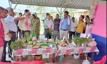 Krishi Mela : মহানগৰীৰ ক্ষেত্ৰীত কৃষি মেলা আৰু প্ৰদৰ্শনী