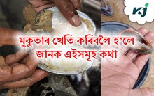 মাত্ৰ ১/২ বিঘাৰ পৰা ৩ বিঘাৰ পুখুৰী হ'লেই যথেষ্ট! মুকুতা খেতি কৰি বছৰত  কৰিব পাৰে লাখ টকা উপাৰ্জন মাত্ৰ ১/২ বিঘাৰ পৰা ৩ বিঘাৰ পুখুৰী হ'লেই যথেষ্ট! মুকুতা খেতি কৰি বছৰত  কৰিব পাৰে লাখ টকা উপাৰ্জন