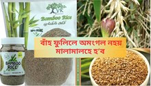 Bamboo  rice  price :   এমাজনত  ১  কেজি  বাঁহৰ  চাউলৰ  দাম  ৩০০-৭০০  টকা