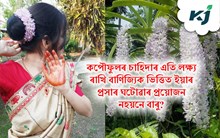 Foxtail Orchid: বাণিজ্যিক দৃষ্টিত অসমৰ ৰঙালী বিহুৰ অনন্য উপাদান কপৌফুল জুপি