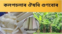 বছৰেকত কেইটামান দিন পচলা খায়েই দূৰতে থাকক এই কেইটা ৰোগৰ পৰা