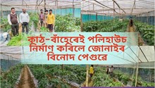 Polyhouse farming : পলিহাউচত কেনেদৰে কৰিব ভোটজলকীয়া খেতি!