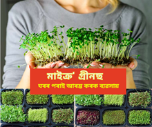 Micro Greens ৰ খেতিৰে আৰম্ভ কৰক নিজা ব্যৱসায় 