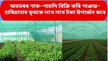 Shade net farming কি! শ্বেড নেটে কি কি দিশত লাভান্বিত কৰিব কৃষকসকলক