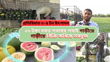 জাগীৰোডত  ৬০ বিঘা মাটিত তৰমুজৰ খেতি কপিলী FPO ৰ কৃষক গোটৰ