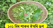 বহাগ বিহুত পৰম্পৰাগতভাৱে চলি অহা ১০১ বিধ শাকৰ ঔষধি গুণ বহাগ বিহুত পৰম্পৰাগতভাৱে চলি অহা ১০১ বিধ শাকৰ ঔষধি গুণ