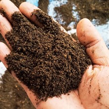 Vermicompost: কেচুঁসাৰ অথবা ভাৰ্মিকম্পোষ্ট ইউনিট কেনেদৰে আৰম্ভ কৰিব?