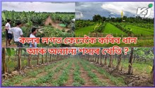 গোৱালপাৰাত ১২০ বিঘা  মাটিত  কলৰ লগতে ধান, মাকৈ, অমিতা খেতি!