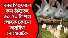Domestic methods of rearing rabbits : ঘৰতে শহা পহু পালনৰ পদ্ধতি Domestic methods of rearing rabbits : ঘৰতে শহা পহু পালনৰ পদ্ধতি