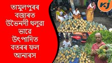 Pineapple : তামুলপুৰত অনাৰসৰ খেতিৰে স্বাৱলম্বণৰ পথ বাচি লৈছে কৃষকে