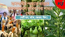 কৃষকসকলে মাটি মাহ, মাকৈ, স্কোৱাচ, তিল খেতি কৰি লাভ উঠাওক