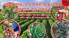 দেশৰ প্ৰতিজন উদ্যমী কৃষকেই গুৰুত্ব দিছে নতুন জাতৰ শস্যৰ খেতিৰ ওপৰত