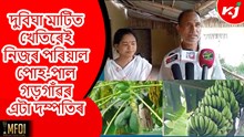 দম্পতিটোৱে বতৰৰ শাক-পাচলিৰ লগতে কৰে বিভিন্ন জাতৰ ফলৰ খেতি