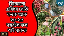 Horticulture : এবিঘা মাটিত মাত্ৰ এবাৰ আৰম্ভ কৰি গোটেই জীৱন পাওঁক ফল
