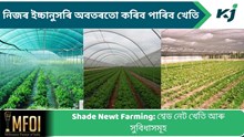 Shade Net Farming & its benefit : শ্বেড নেট খেতি আৰু সুবিধাসমূহ