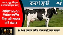 Karan fries cow Price & Benefit : কৰণ ফ্ৰাই বৈশিষ্ট্য আৰু দাম জানো আহঁক Karan fries cow Price & Benefit : কৰণ ফ্ৰাই বৈশিষ্ট্য আৰু দাম জানো আহঁক