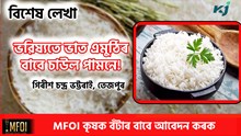 Special Article : ভৱিষ্যতে ভাত এমুঠিৰ বাবে চাউল পামনে!