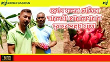 Dragan Fruit : ড্ৰেগন ফলৰ খেতিৰে স্বাৱলম্বী গোৱালপাৰাৰ কৃষক অনুপ ৰাভা