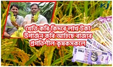 A  to Z হিচাপ কৰিলে খেতিত লাভতকৈ লোকচানহে হয়! কথাষাৰ কিমান সঁচা