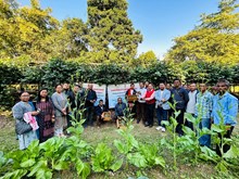 শিৱসাগৰ জিলাৰপৰা প্ৰথমবাৰৰ বাবে লণ্ডনৰ বজাৰলৈ উৰহী ৰপ্তানিৰ আৰম্ভণি