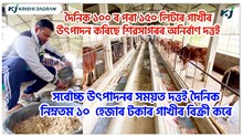 সৰ্বোচ্চ উৎপাদনৰ সময়ত দত্তই দৈনিক নিম্নতম ১০ হেজাৰ টকাৰ গাখীৰ বিক্ৰী কৰে সৰ্বোচ্চ উৎপাদনৰ সময়ত দত্তই দৈনিক নিম্নতম ১০ হেজাৰ টকাৰ গাখীৰ বিক্ৰী কৰে