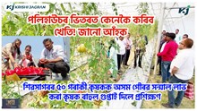 Poly house Farming : পলিহাউচৰ ভিতৰত কেনেকৈ কৰিব খেতি! জানো আঁহক Poly house Farming : পলিহাউচৰ ভিতৰত কেনেকৈ কৰিব খেতি! জানো আঁহক